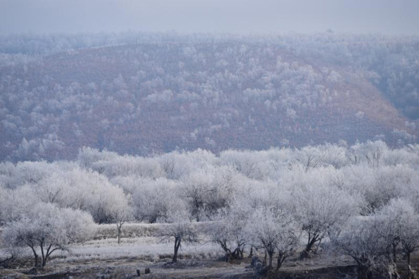 Soft rime dazzles NE China