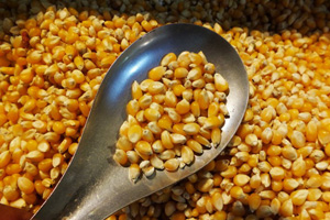 Trending across China