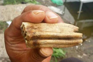 Trending: philanthropist to buy US homeless lunch