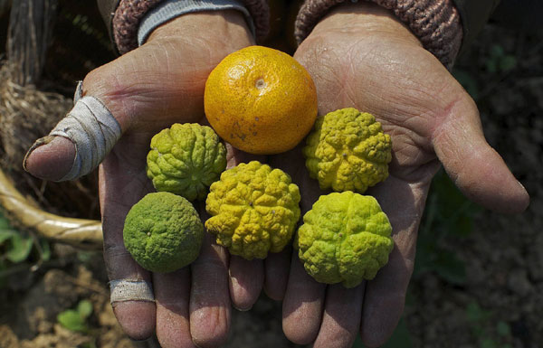 Trending: Students find unique way to play soccer