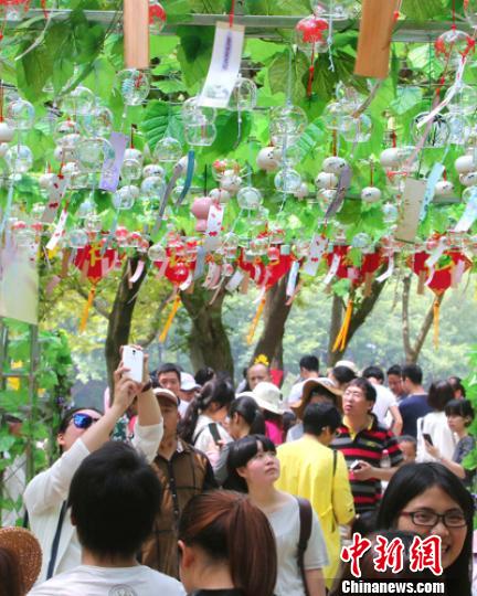 Lost baby bear rescued