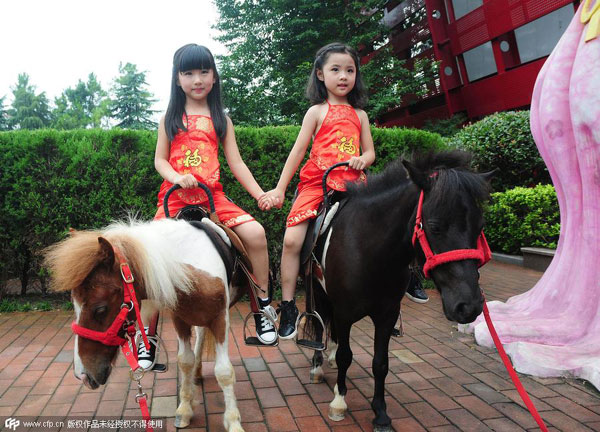 Market plunge leads to Weibo self-mockery