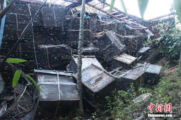 Love through war and peace