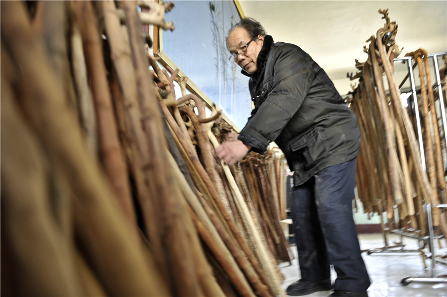 74-year-old 'trains' trees to become walking sticks