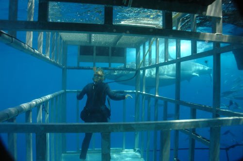 時尚戶外體驗：玩的就是心跳