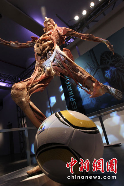 尸體“運(yùn)動員”