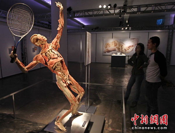 尸體“運(yùn)動員”