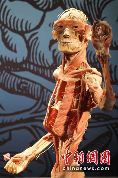 尸體“運動員”