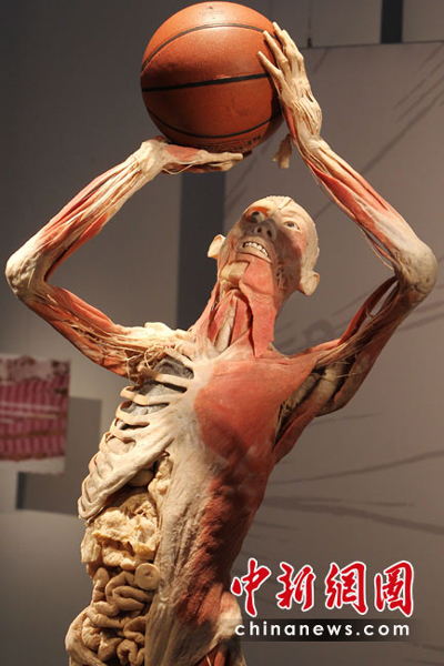 尸體“運動員”