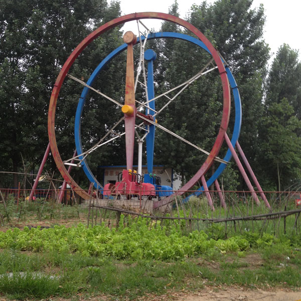 A rodeo with ostriches