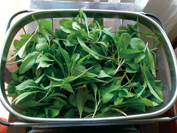 Not your average rice ball by any stretch