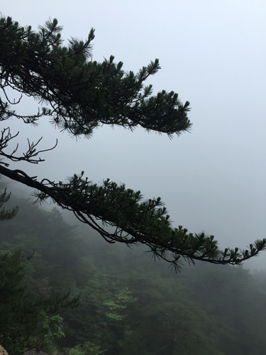 Surprise in the clouds