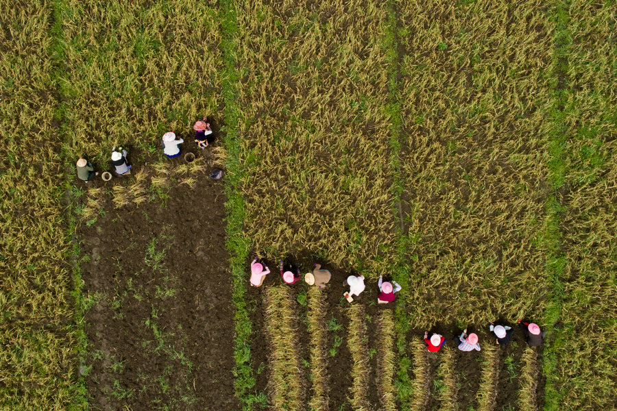 Time for drastic action