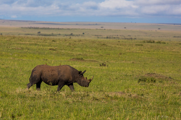 When vacationing abroad, tread carefully