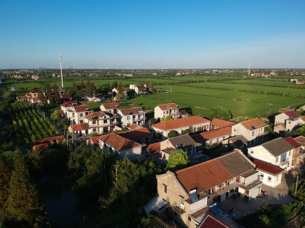 How green is my island