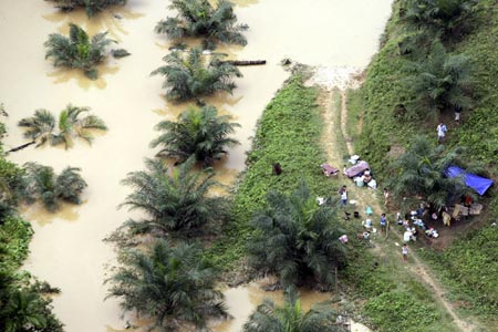 Flood survivors live in a shelter on a hill after floods washed out their houses in the district of Aceh Tamiang, Aceh province, December 24, 2006. Floods in Indonesia's Aceh and North Sumatra province have left at least 22 people dead and six missing, Health Ministry official Rustam Pakaya said on Sunday.