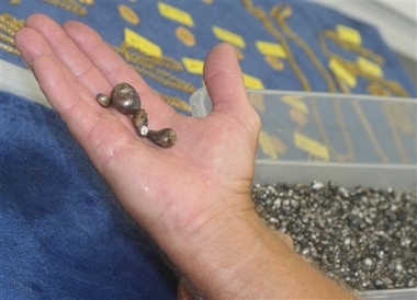 Thousands of pearls found in shipwreck 