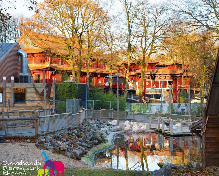 Pandasia, a palace for pandas