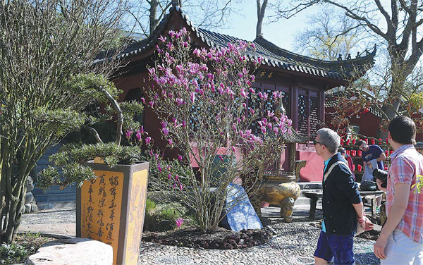 The pitter-patter of panda feet?