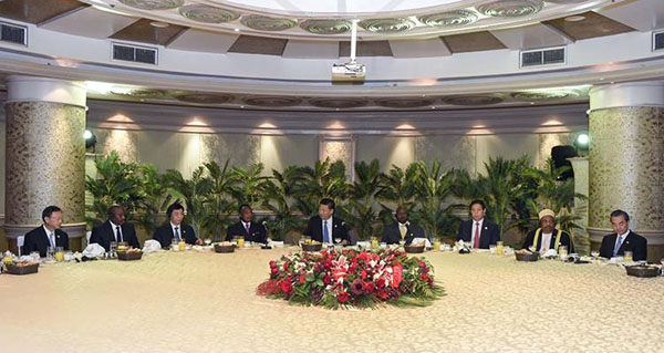 Chinese president, African leaders discuss development strategy