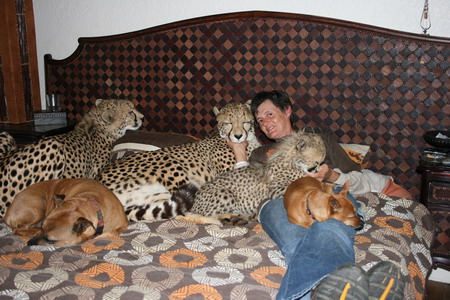 Woman lives with cheetahs, lion, wolves
