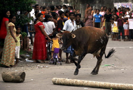 More civilians fleeing conflicting area in Sri Lanka