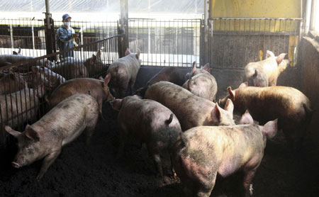 S. Korea on alert as suspected case of swine flu confirmed