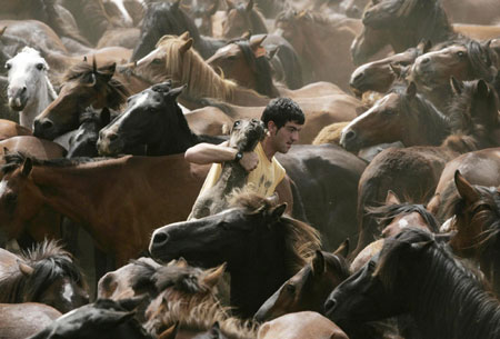 Horse wrestling festival in Spain