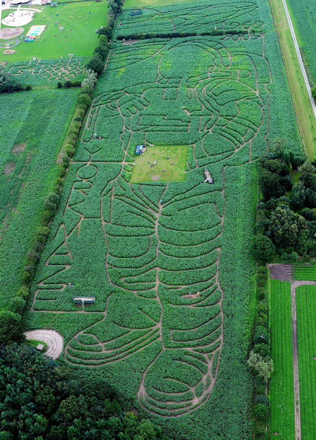 Maze marks Apollo moon landings 40th anniversity
