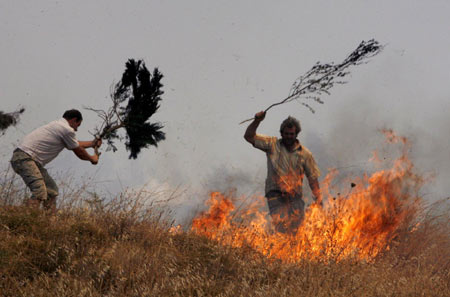 Dozens of wildfires reported in Greece