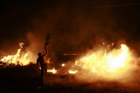 Fire-fighters, planes battle wildfires near Athens