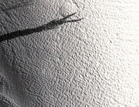 NASA's photos unveil Mars surface