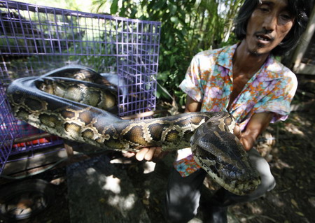 Lizard, 'Cheese' for the camera!