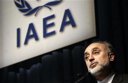 Iran to give time soon for atom plant inspection: TV