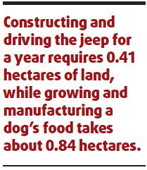 'Cats and dogs use more energy than cars'