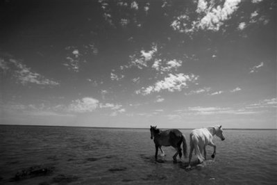 From ecological Soviet-era ruin, a sea is reborn