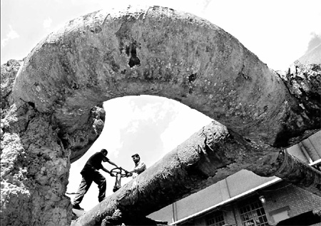 Kirkuk oil may make or break Iraq's future