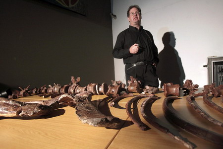 Scientists: New dinosaur species found in SAfrica