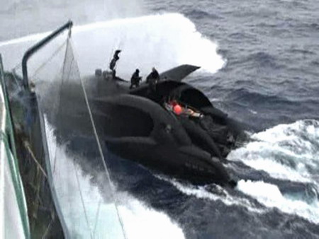 Japan whalers accused of sinking protest boat