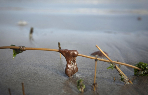 BP marks first success in containing oil spill