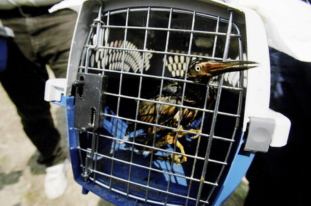 BP: 24 hrs will tell if oil leak plug works