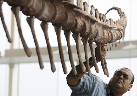 The dawn of the dinosaurs