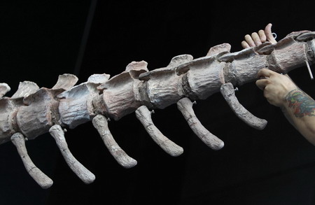 The dawn of the dinosaurs