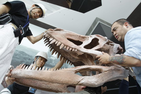 The dawn of the dinosaurs