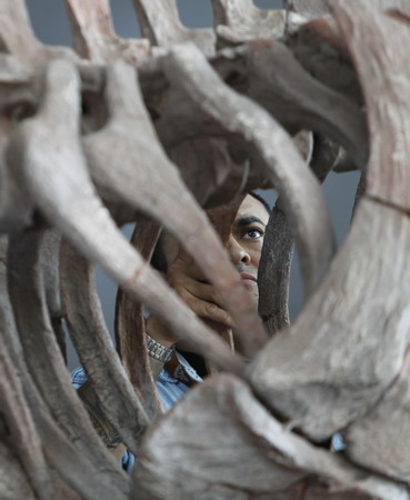 The dawn of the dinosaurs