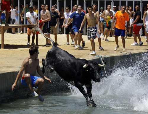 Bulls chasing revellers at Spanish festival