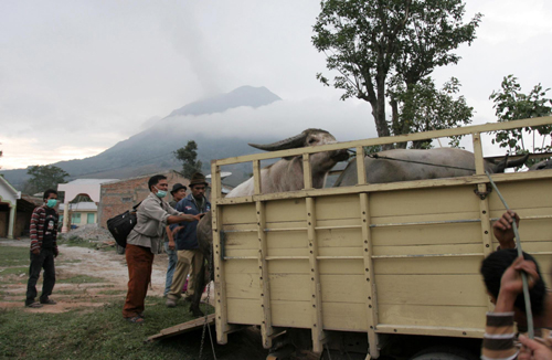 Indonesia's volcano re-erupts, threatens flight