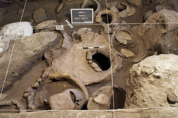 Earliest known winery found in Armenian cave