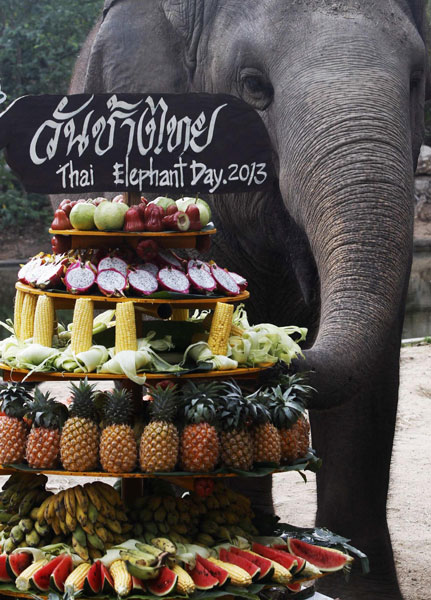 Thai Elephant Day Thailand's National Elephant Day
