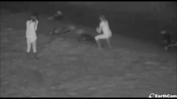 San Diego limits beach access to guard seals